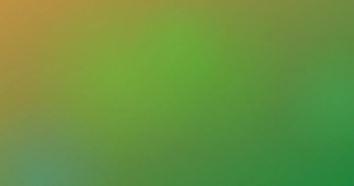 柳智敏怎么用？一套高效追星方法